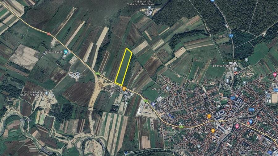 Teren Construcții extravilan de 49933 mp, în Beiuș