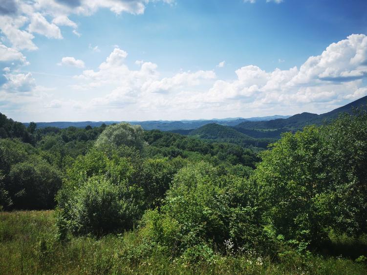 Teren de 42500 mp, în Barbura