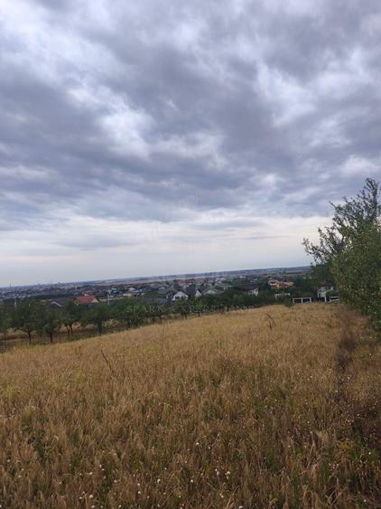 Teren Construcții intravilan de 10000 mp, în Păulești