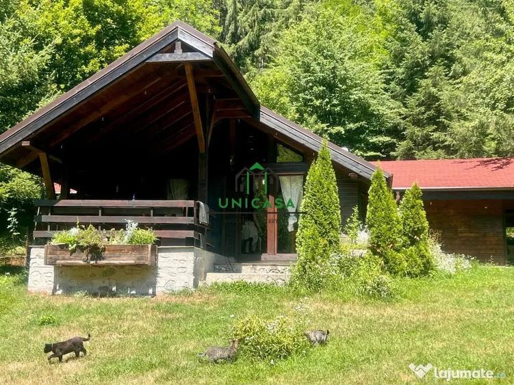 Casă cu 7 camere cu Teren 2560 Mp în Voineșița