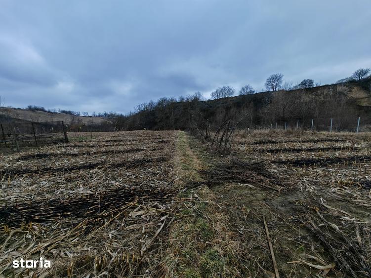 Teren de 3000 mp, în Măgura