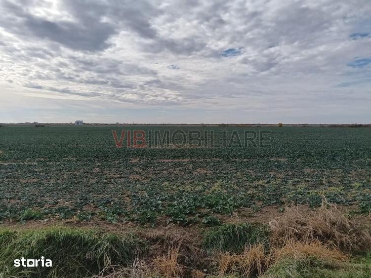 Teren de 13500000 mp, în Central