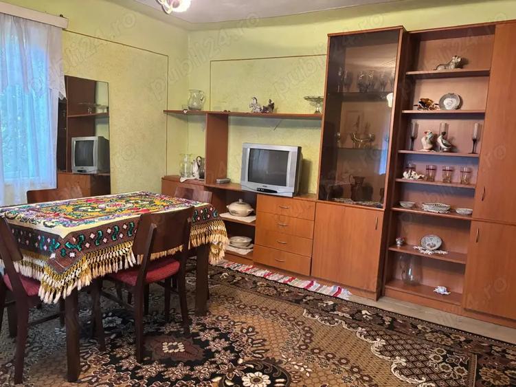 Casa de vanzare in comuna Lechinta - 3