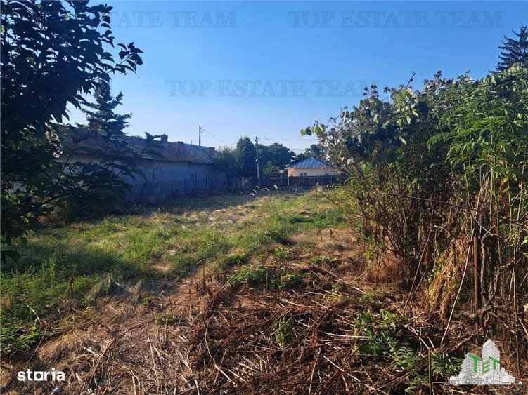 Casa cu teren 3579mp in com. Cascioarele, Jud. Giurgiu - 8