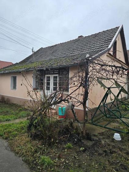 Vand casa plus anexa Tamaseu SC-200 mp , teren 3040 mp , gaz , la sosea , aproape strand - 11