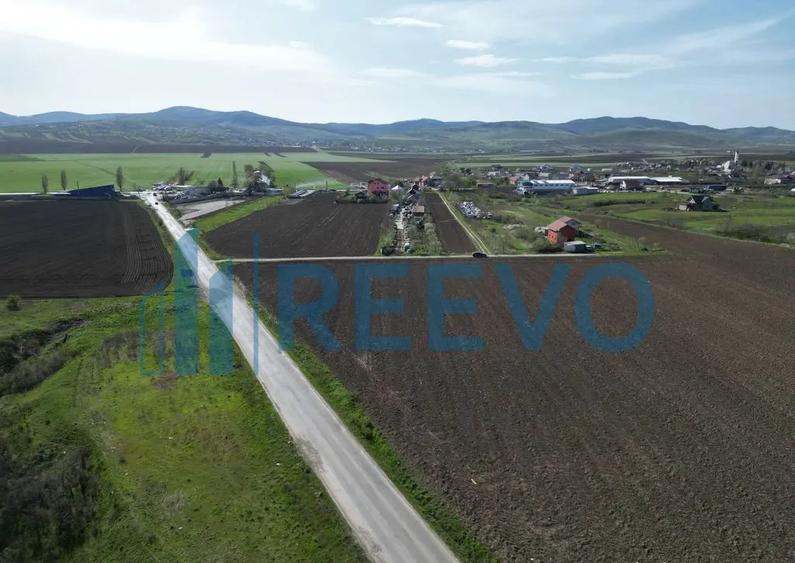 Teren de vanzare, Com. Nicolae Balcescu, Jud. Bacau - 8