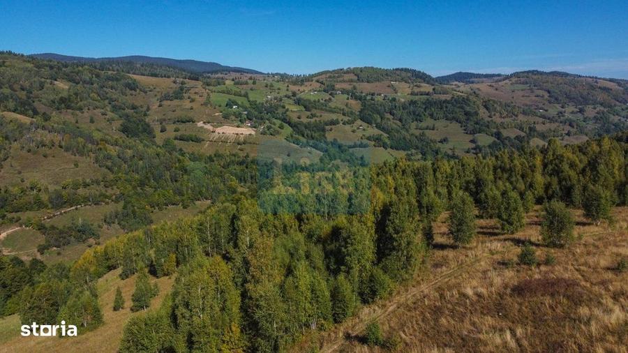 Comision 0% teren intravilan 1000 mp, PUZ, priveliste, Baisoara - 7