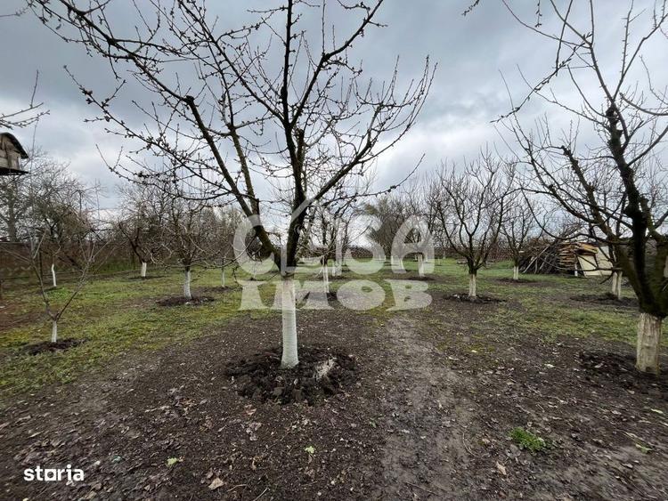 Casuta din lemn de weekend sau casa de vacanta cu teren si livada - 18