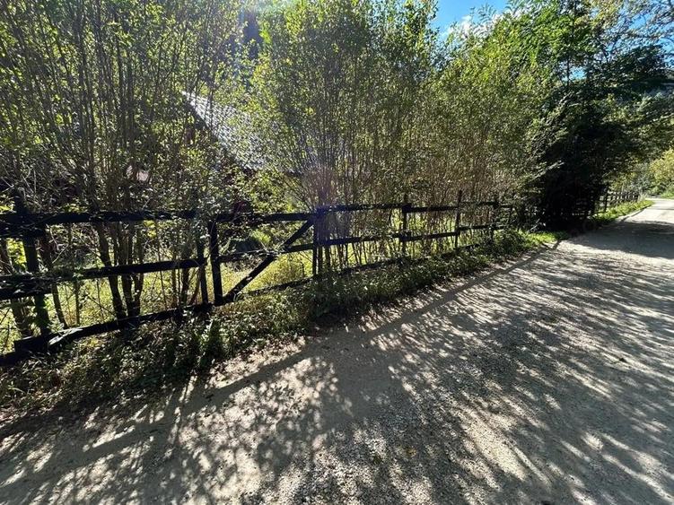 Cabana de vanzare, Valea Manastirii - Ramet - 1