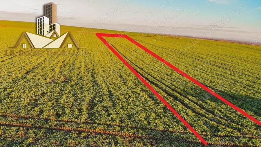 Teren Giarmata- asfalt-utilitati- PUG de locuinte colective - 1