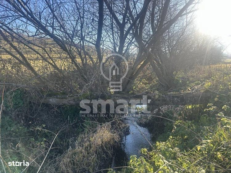Teren intravilan cu priveliste spectaculoasa Petresti de Jos Cluj - 12