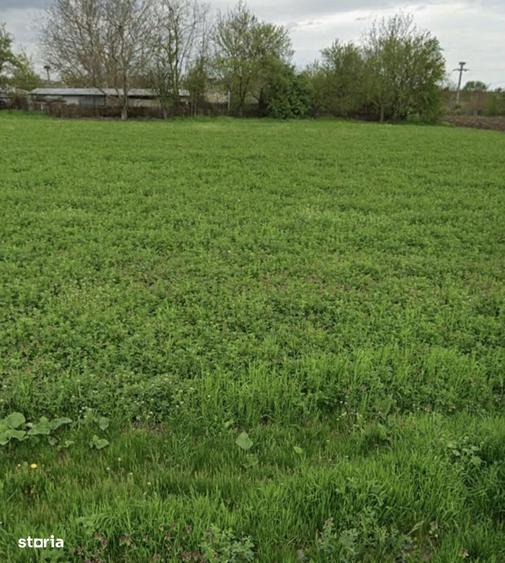 Teren intravilan 40km de Bucure?ti - 2