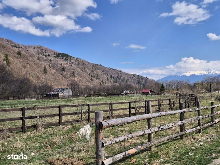 Teren intravilan cu vedere la munte, 1200 mp, acces usor, Plaiul Foii - 15