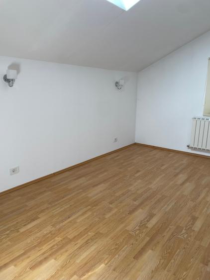 Iancu Nicolae vila 5 dormitoare gradina matura - 18