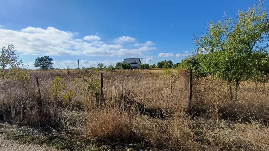 Teren Izvorani -Padure -COR - 9