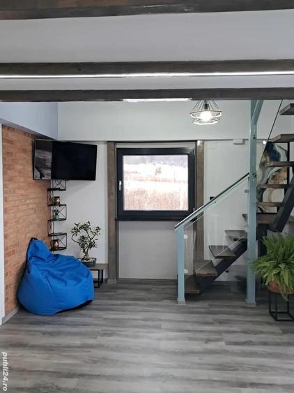 Cabana Casa de vacanta in Bucovina - 1