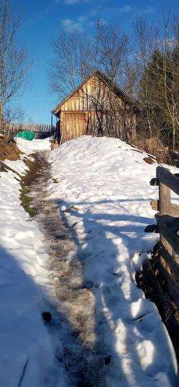 Vand casa batraneasca locuibila, in zona de munte, Apuseni&Teren Pret:3euro m 6400m, com. Scarisoara - 6