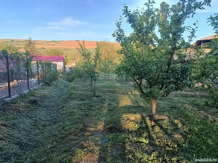 A 13. 20000 mp teren ?i 3 constructii casa in judetul Bacau - 10