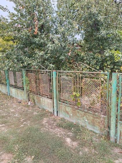 Potigrafu, Crivina - 7