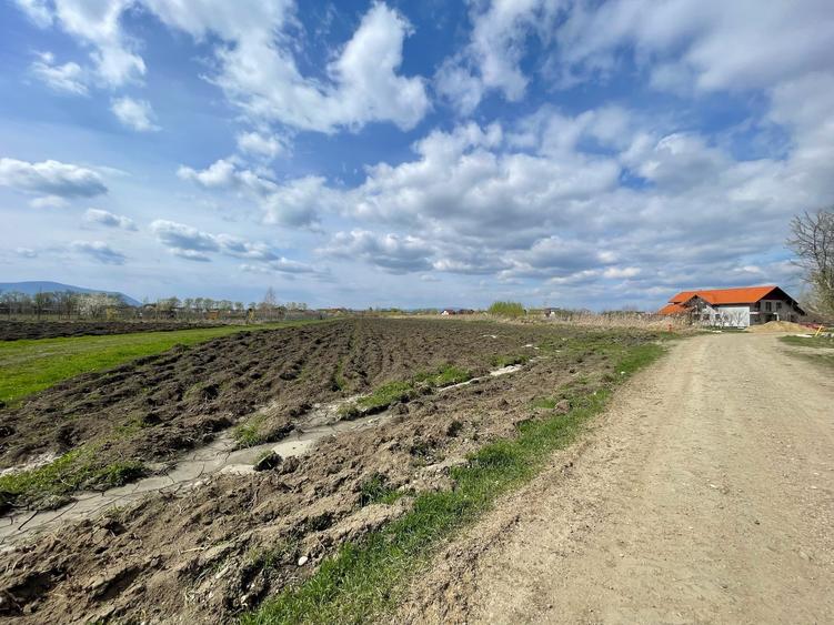 Lot de casa Stupini 480mp! - 3