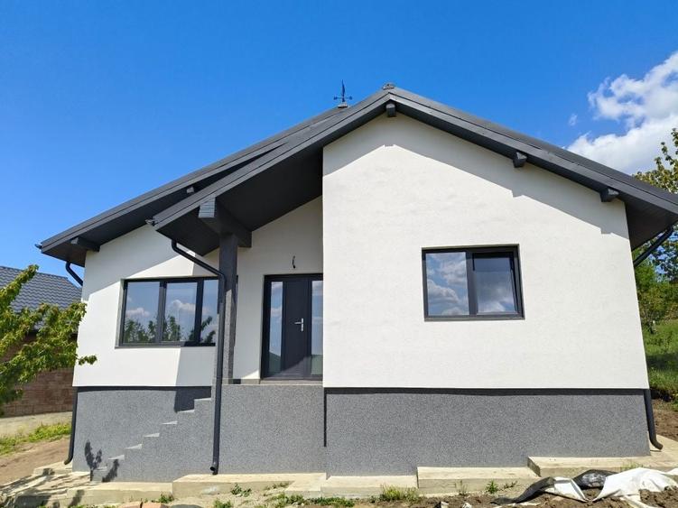 Vila casa Tomesti - 6