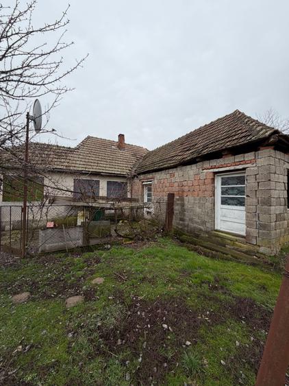 Casa Jebel teren 1696 mp front 57 ml utilitati strada asfaltata - 2