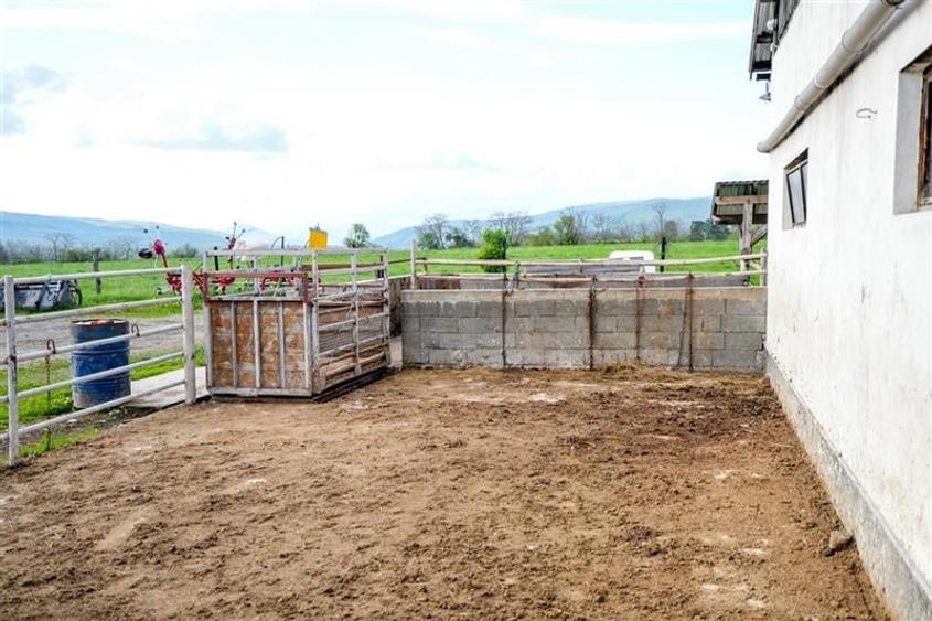 Film&Tur! Domeniu pe 222.000mp+ Ferma +Anexe specifice+Constructie+
rezidential - 55