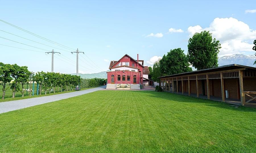 Proximitate fata de Castelul Bran - 54