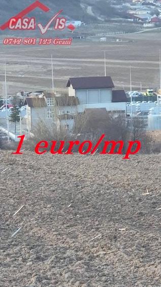 Teren 1 euro/mp pentru iarba verde - 4