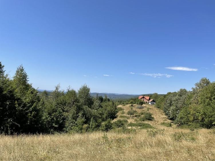 Teren Extravilan &icirc;n mijlocul naturii. - 8