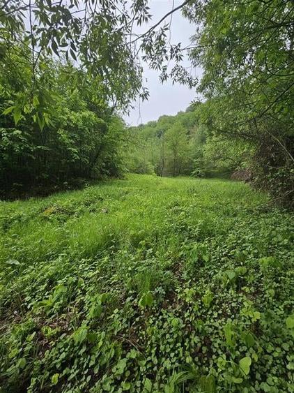 TEREN  PENTRU BUSSINESS 2842 MP DE VANZARE IN STATIUNEA  TARGU OCNA - 1