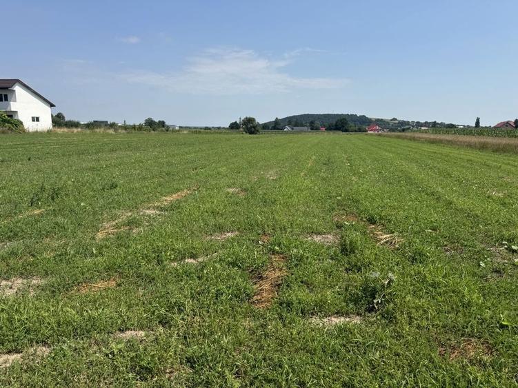 Teren intravilan de vanzare 90 ari Comuna Horonic de sus - 1