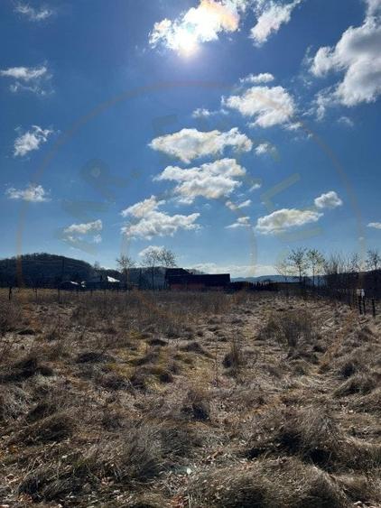 Teren Cicanesti Arges, la 10 KM de Transfagarasan - Comision 0% - 3