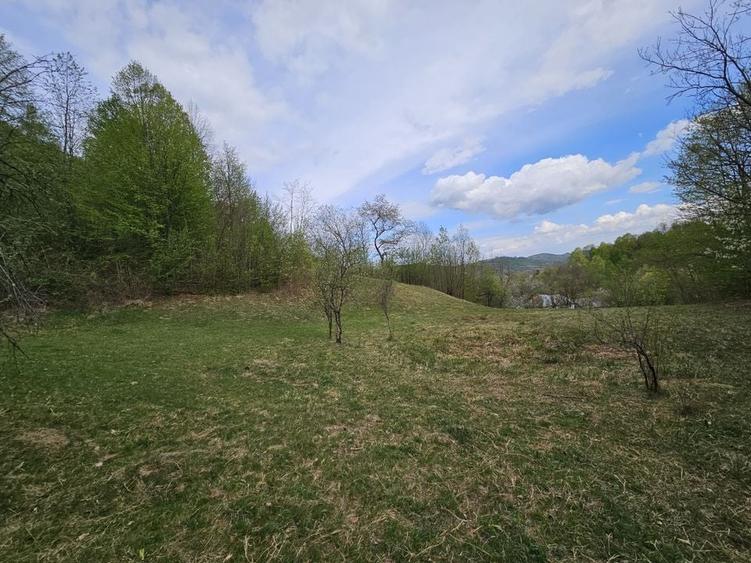 Teren intravilan 1454 mp la marginea padurii zona locuita de case! - 3