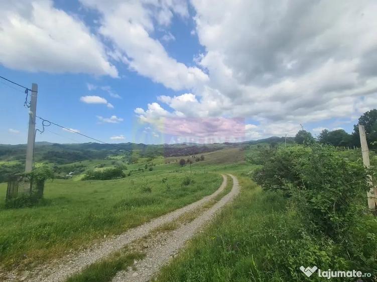 Teren de 9037 mp, în Plaiul Tălii