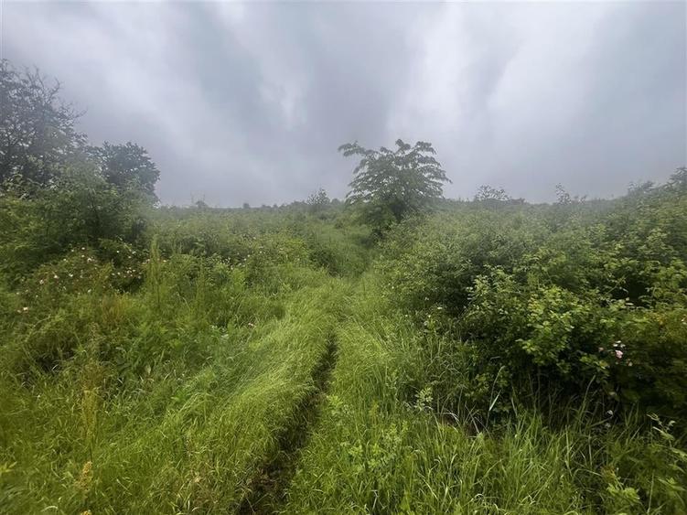 Teren intravilan, 1000mp, in Valea Calugareasca. - 10