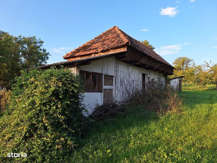 Teren cu casa si anexe - centru comuna, acte in regula - 11