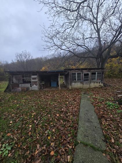 Casa batraneasca cu teren 1000mp - 3