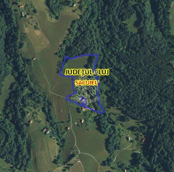 COMISION 0 20.000 MP TEREN EXTRAVILAN CU PADURE ZONA TURISTICA SACUIEU VLADEASA - 6
