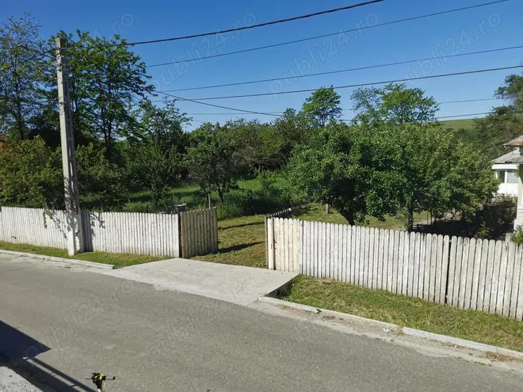 De vanzare teren intravilan 4000 mp + contructii - 3