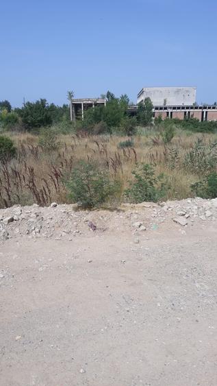 Spre Vanzare - Teren Intravilan - Vitanul Nou - Palady - 8