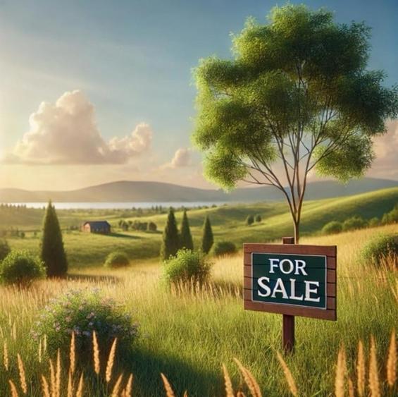 Teren Intravilan 1693 mp Stupini - 1