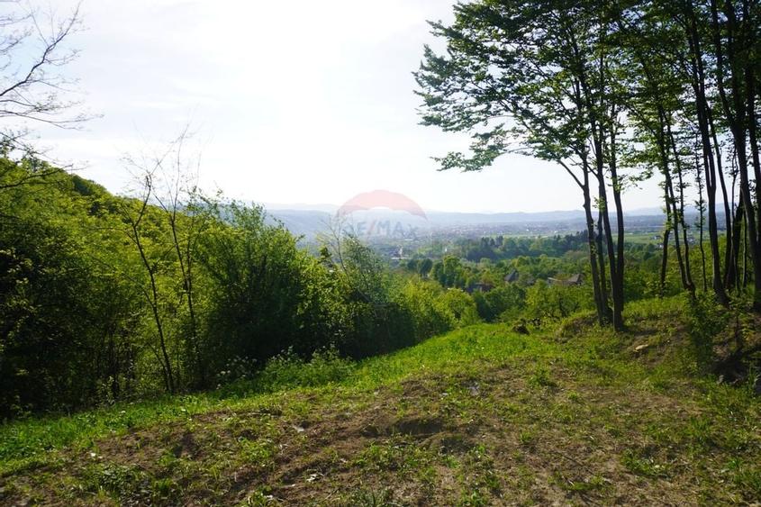 Teren 15,000mp Sighetu Marmatiei / Strada Mocăniței - 7
