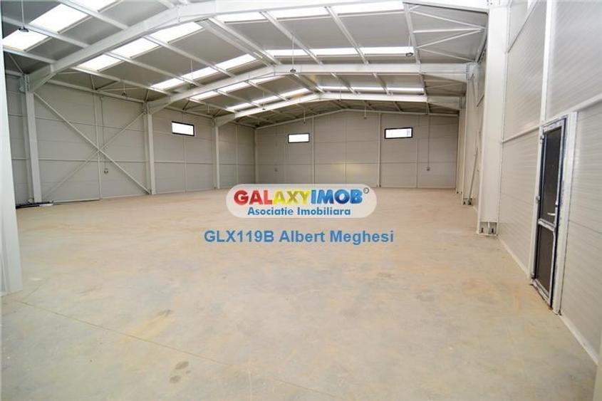 Hale Industriale Centura Rudeni Chitila Centura 415 mp/978 mp - 5