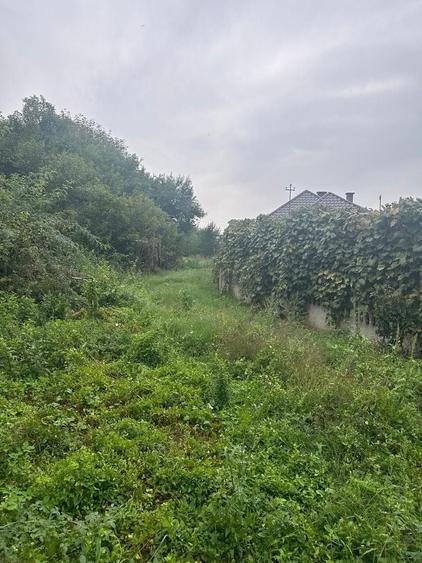 De vanzare teren cu casa de renovat Dej central - 2