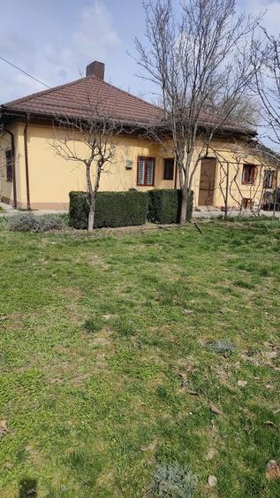 Casa vanzare Budesti - 11