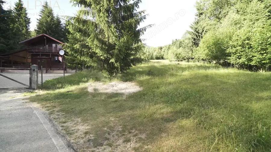 Teren Intravilan de 1.7 Hectare in Colibita - 1