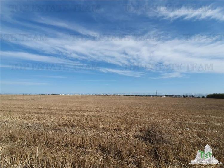 Teren Techirghiol - 6