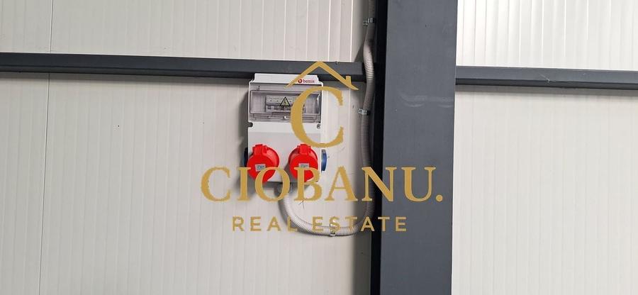 Hala de vanzare in Racari de Jos - 9