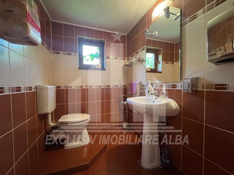 Spatiu de birouri | P + 2E | 254 mp | 10 camere | Parcare | Cetate - 11